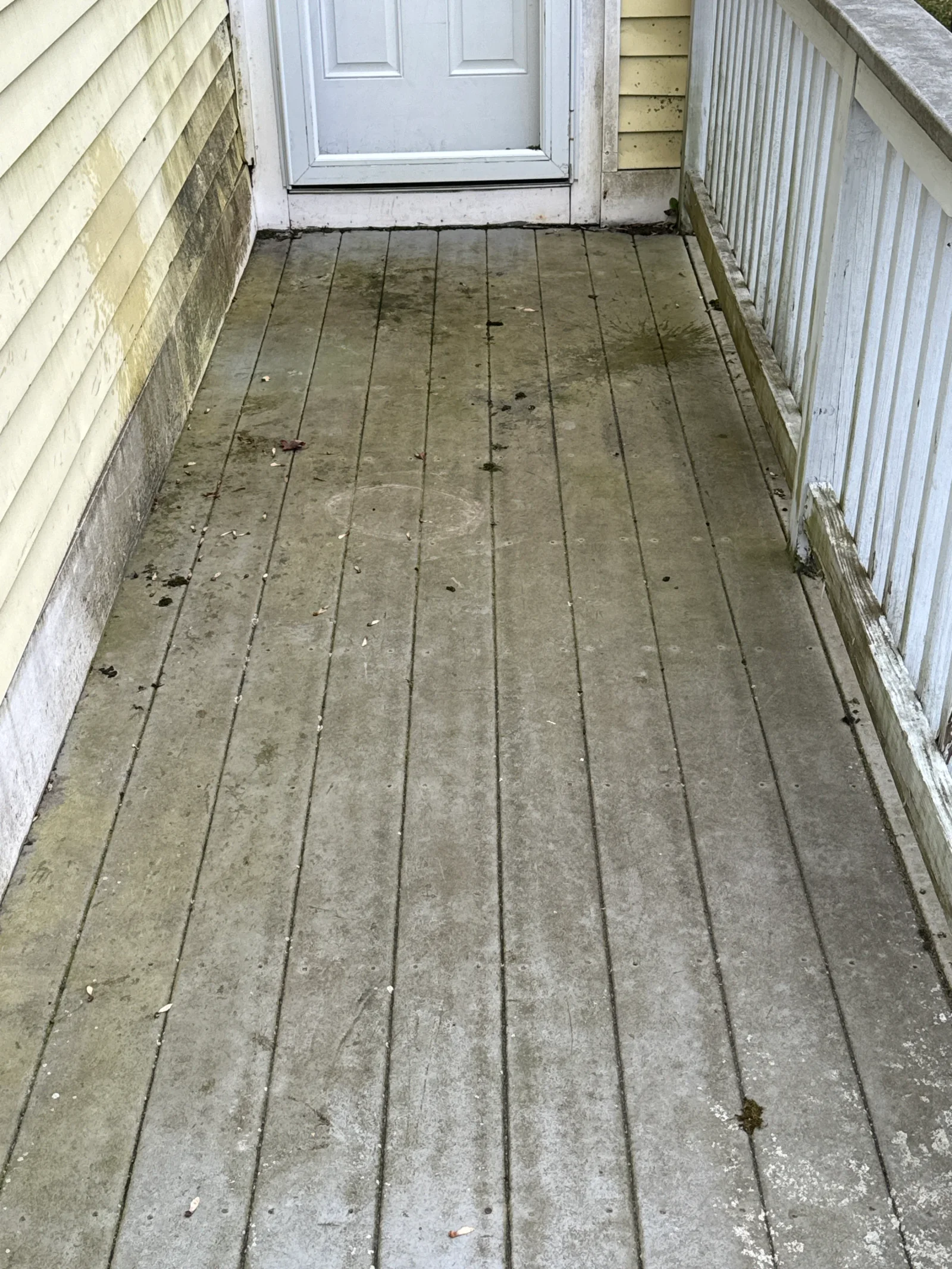 Pressure-washed wooden deck with restored wood grain and color, algae and mold removed