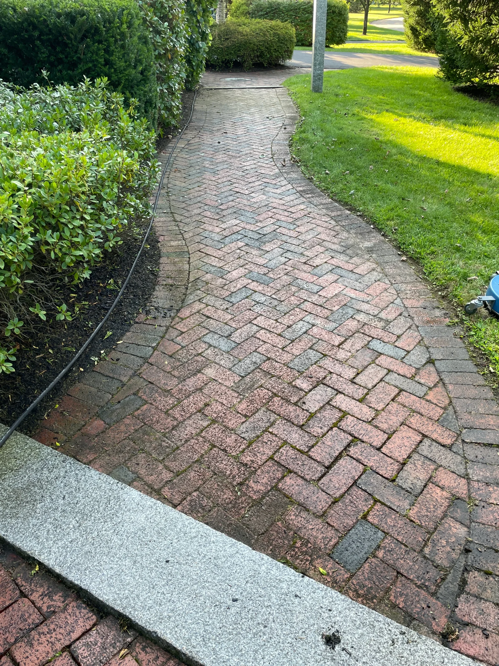 Cleaned brick paver walkway with herringbone pattern, bordered by hedges and lawn