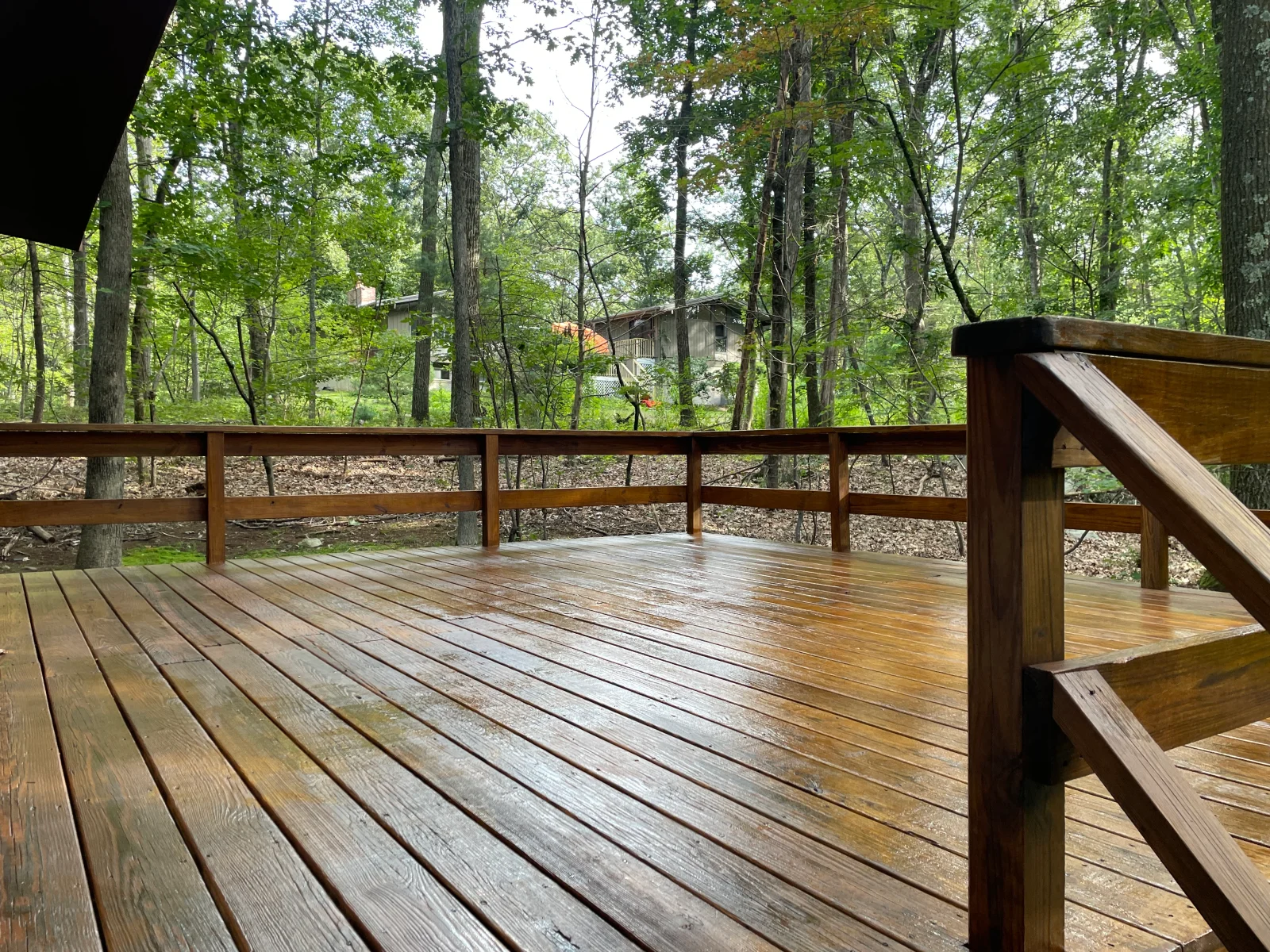 Freshly pressure-washed wooden deck with dark wood railings surrounded by forest trees