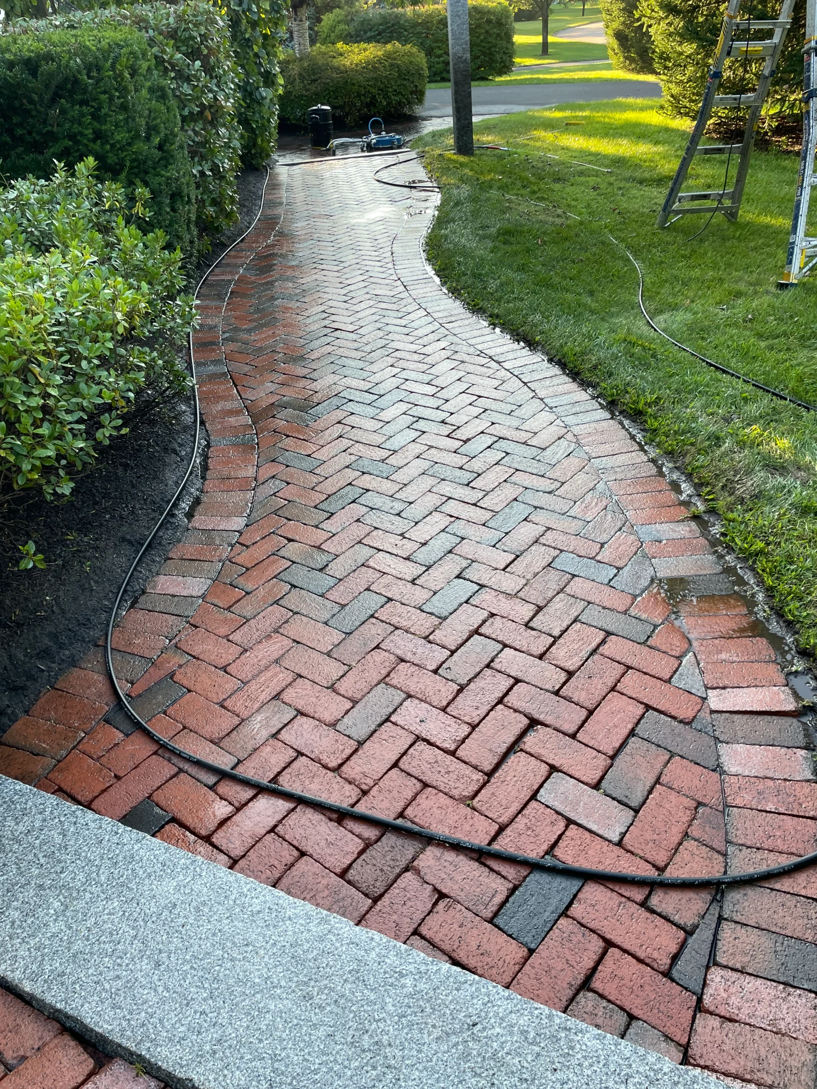 Cleaned brick paver walkway with herringbone pattern, red and tan tones, curved design through landscaped yard