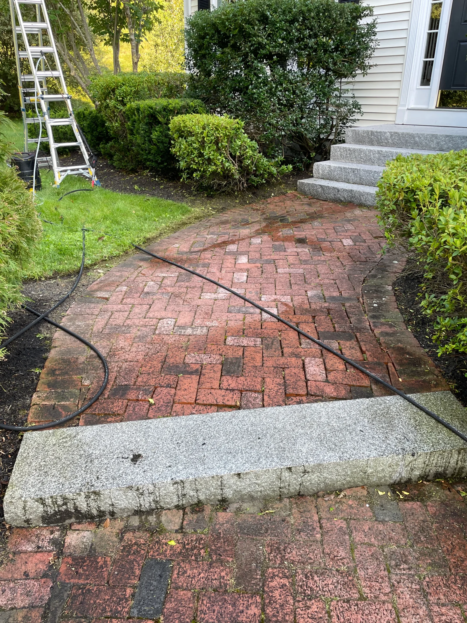 Cleaned brick herringbone patio with concrete steps and surrounding landscaping